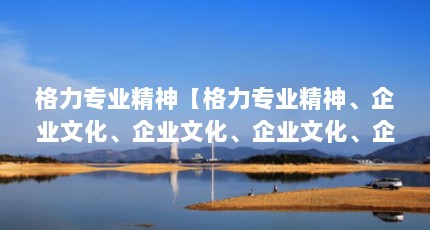 格力专业精神【格力专业精神、企业文化、企业文化、企业文化、企业精神的解答】
