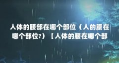 人体的腰部在哪个部位（人的腰在哪个部位?）【人体的腰在哪个部位？】