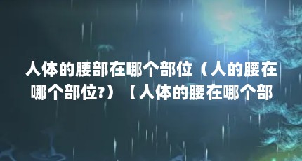 人体的腰部在哪个部位（人的腰在哪个部位?）【人体的腰在哪个部位？】