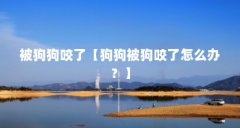 被狗狗咬了【狗狗被狗咬了怎么办？】