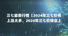 三七最新行情【2024年三七价格上涨太