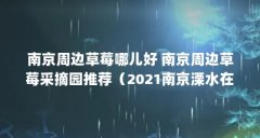 南京周边草莓哪儿好 南京周边草莓采摘园推荐（2021南京溧水在哪里摘草莓南京