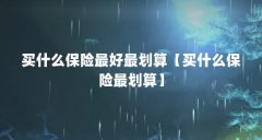 买什么保险最好最划算【买什么保险最划算】