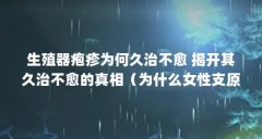 生殖器疱疹为何久治不愈 揭开其久治不愈的真相(为什么女性支原体感染久治