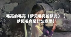 毛亮的毛亮（梦见毛亮的预兆）【梦见毛亮是什么意思】