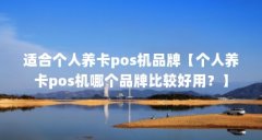适合个人养卡pos机品牌【个人养卡pos机哪个品牌比较好用？】