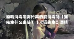 酒精消毒喷雾枪真的能消毒吗（猫先生什么来头）【《猫先生》酒精消毒喷雾枪