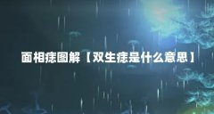 面相痣图解【双生痣是什么意思】