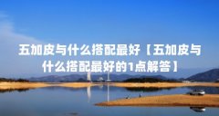 五加皮与什么搭配最好【五加皮与什么搭配最好的1点解答】