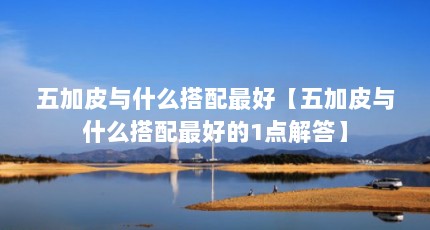 五加皮与什么搭配最好【五加皮与什么搭配最好的1点解答】