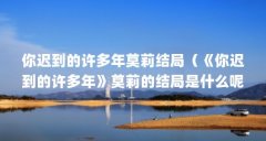 你迟到的许多年莫莉结局(《你迟到的许多年》莫莉的结局是什么呢 莫莉和沐