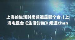 上海的生活时尚频道是那个台(上海电视台《生活时尚》频道Channel Young 在网上