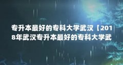专升本最好的专科大学武汉【2018年武汉专升本最好的专科大学武汉有哪些学校