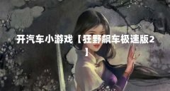 开汽车小游戏【狂野飙车极速版2】