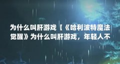 为什么叫肝游戏【《哈利波特魔法觉