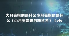 大月亮指的是什么小月亮指的是什么(小月亮是谁的粉丝名)【vivo手表上的小