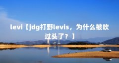 levi【jdg打野levis，为什么被吹过头了