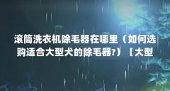 滚筒洗衣机除毛器在哪里(如何选购适合大型犬的除毛器?)【大型犬除毛器的