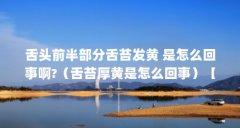 舌头前半部分舌苔发黄 是怎么回事啊?(舌苔厚黄是怎么回事)【舌头前半部分