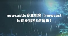 newcastle专业排名【newcastle专业排名5点解析】