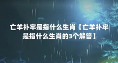 亡羊补牢是指什么生肖【亡羊补牢是指什么生肖的3个解答】