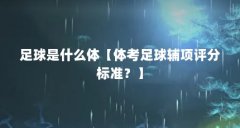 足球是什么体【体考足球辅项评分标准?】