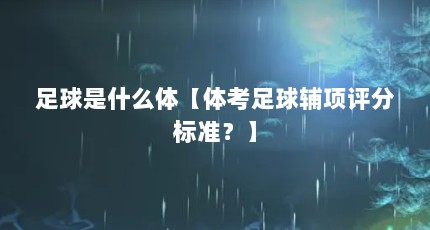 足球是什么体【体考足球辅项评分标准？】