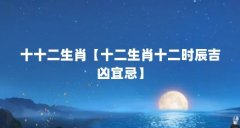 十十二生肖【十二生肖十二时辰吉凶宜忌】