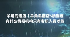 羊角岛酒店【羊角岛酒店5楼到底有什么情报机构只有专职人员才能进入】