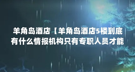 羊角岛酒店【羊角岛酒店5楼到底有什么情报机构只有专职人员才能进入】