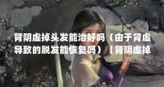 肾阴虚掉头发能治好吗（由于肾虚导致的脱发能恢复吗）【肾阴虚掉头发能恢复
