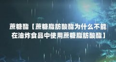 蔗糖酯【蔗糖脂肪酸酯为什么不能在油炸食品中使用蔗糖脂肪酸酯】