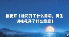 桂花开【桂花开了什么意思，男生说桂花开了什么意思】