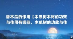 番木瓜的作用【木瓜树木材的功效与作用有哪些，木瓜树的功效与作用】