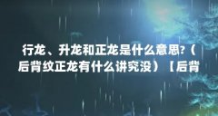 行龙、升龙和正龙是什么意思?（后背纹正龙有什么讲究没）【后背纹正龙有什