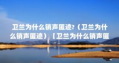 卫兰为什么销声匿迹?（卫兰为什么销声匿迹）【卫兰为什么销声匿迹】