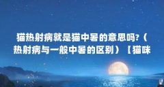 猫热射病就是猫中暑的意思吗?（热射病与一般中暑的区别）【猫咪热射病与一
