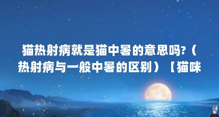 猫热射病就是猫中暑的意思吗?（热射病与一般中暑的区别）【猫咪热射病与一般中暑的区别】
