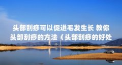 头部刮痧可以促进毛发生长 教你头部刮痧的方法(头部刮痧的好处)【头部刮