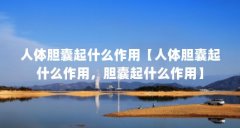 人体胆囊起什么作用【人体胆囊起什么作用,胆囊起什么作用】