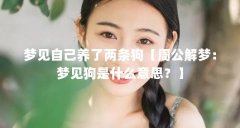 梦见自己养了两条狗【周公解梦:梦见狗是什么意思?】