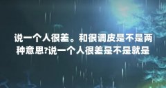 说一个人很差。和很调皮是不是两种意思?说一个人很差是不是就是没...(成绩