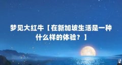 梦见大红牛【在新加坡生活是一种什么样的体验?】