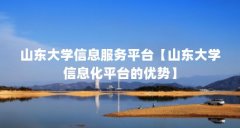 山东大学信息服务平台【山东大学信息化平台的优势】