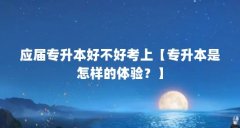 应届专升本好不好考上【专升本是怎样的体验?】