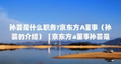 孙芸是什么职务?京东方A董事（孙芸的介绍）【京东方a董事孙芸是什么职务京东