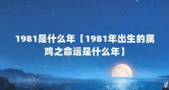 1981是什么年【1981年出生的属鸡之命运是什么年】