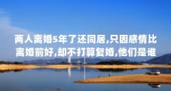 两人离婚5年了还同居,只因感情比离婚前好,却不打算复婚,他们是谁...(巫若萍