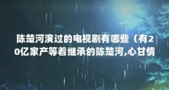 陈楚河演过的电视剧有哪些(有20亿家产等着继承的陈楚河,心甘情愿演配角,他
