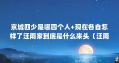 京城四少是哪四个人+现在各自怎样了汪雨家到底是什么来头(汪雨是谁,谁是他